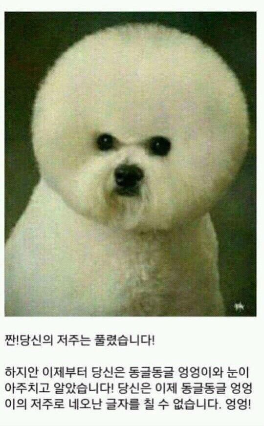 네모네모 멈뭄미_2.jpg