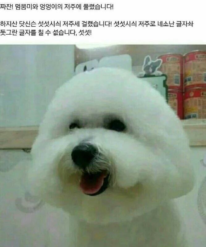 네모네모 멈뭄미_3.jpg