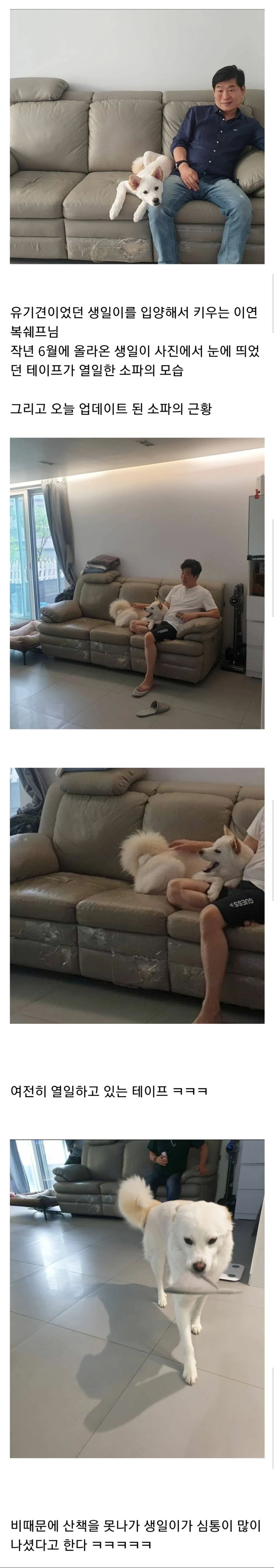 이연복 쉐프 소파 근황_1.jpg