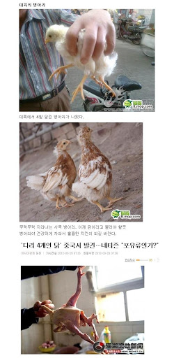 후쿠시마 근황.JPG_1.jpg