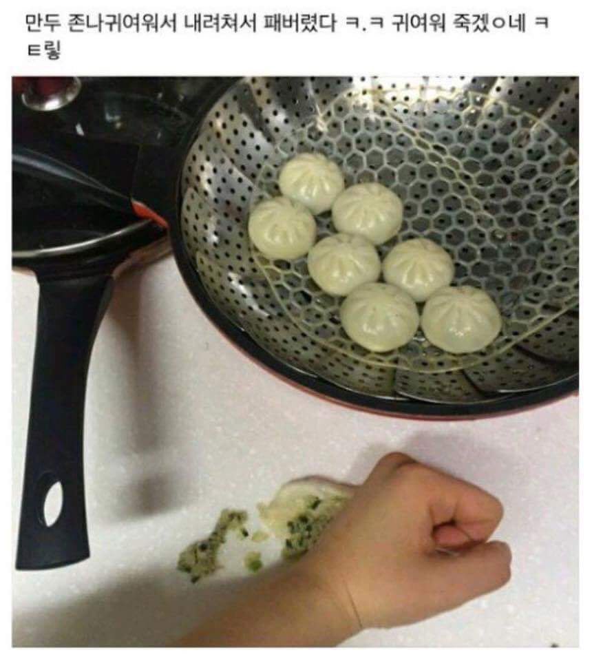 만두가 너무 귀여워서_1.jpg