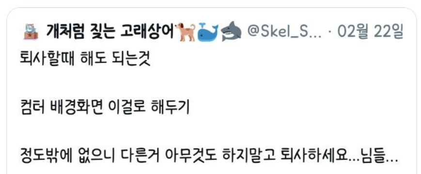 인터넷으로 사회생활을 배우면 안되는 이유.jpg_6.png