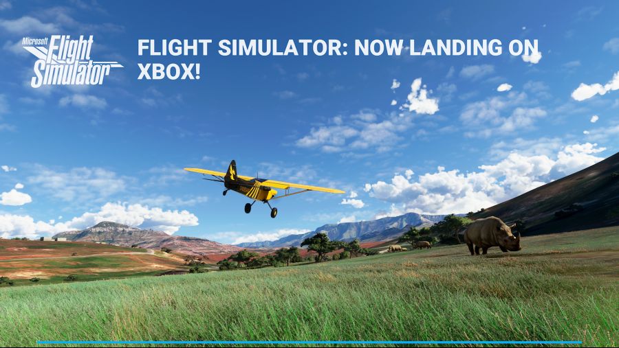 Microsoft Flight Simulator 2021-07-28 20-30-43.png