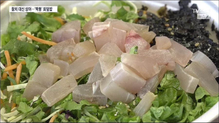 상어회는 생각보다 유게이들 많이 먹어봤음_1.jpeg