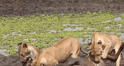 혐) 딜유갓디스_1.jpg