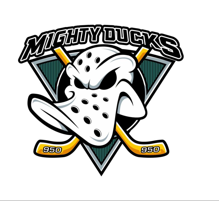 mighty-ducks-2.jpg