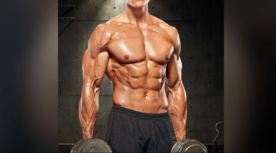1109-lean-muscular-abs-chest-pecs-1.jpg