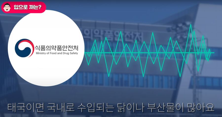 가짜뉴스를 다루는 언론사와 유튜버 태도 차이.jpg_9.png