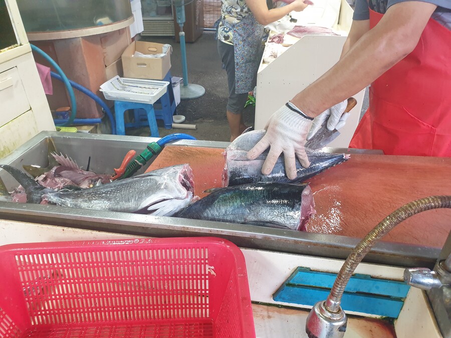 드디어 우리나라도 참치문화권이.._3.jpg