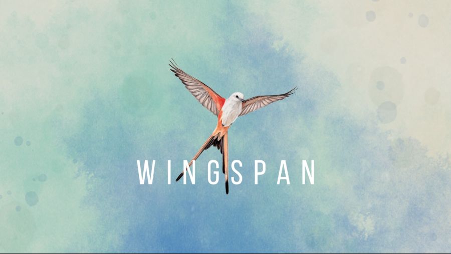 윙스팬...! 진짜 최고입니다ㅠ_ㅠb_1.jpg