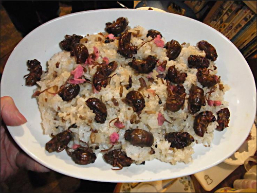 극혐)어떻게든 티를 내고 싶어서 안달난 벌래.JPG_3.jpg