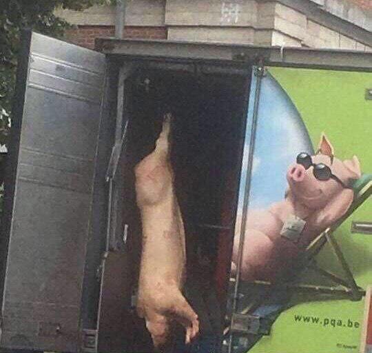 영화 '아일랜드'_1.jpg