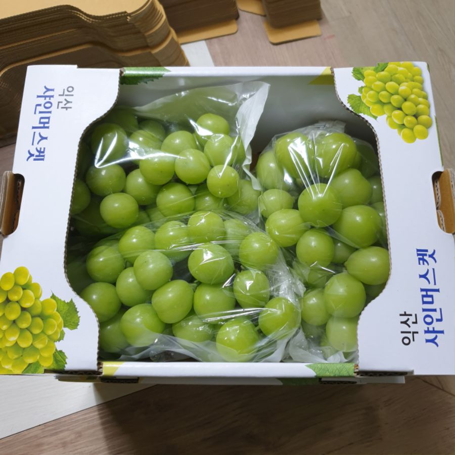 샤인머스켓 오늘 마니 팔아따..._8.jpg