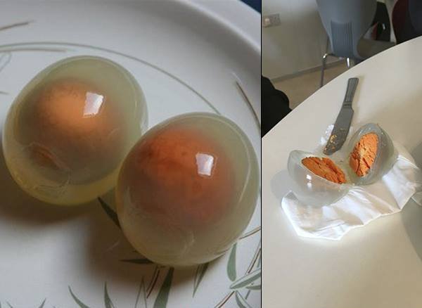 펭귄 고기를 .. 아무도 안먹는 이유.jpg_4.jpg