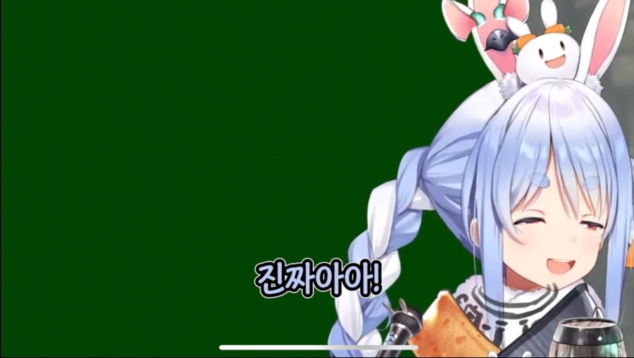 버튜버) 페코라 난리난 근황_7.jpeg