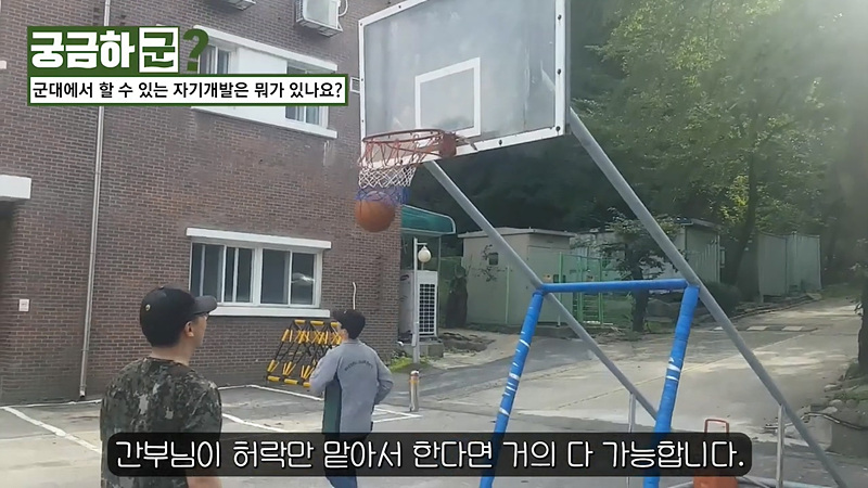 역대급 싫어요 비율 갱신한 국방TV 영상 근황_4.jpg