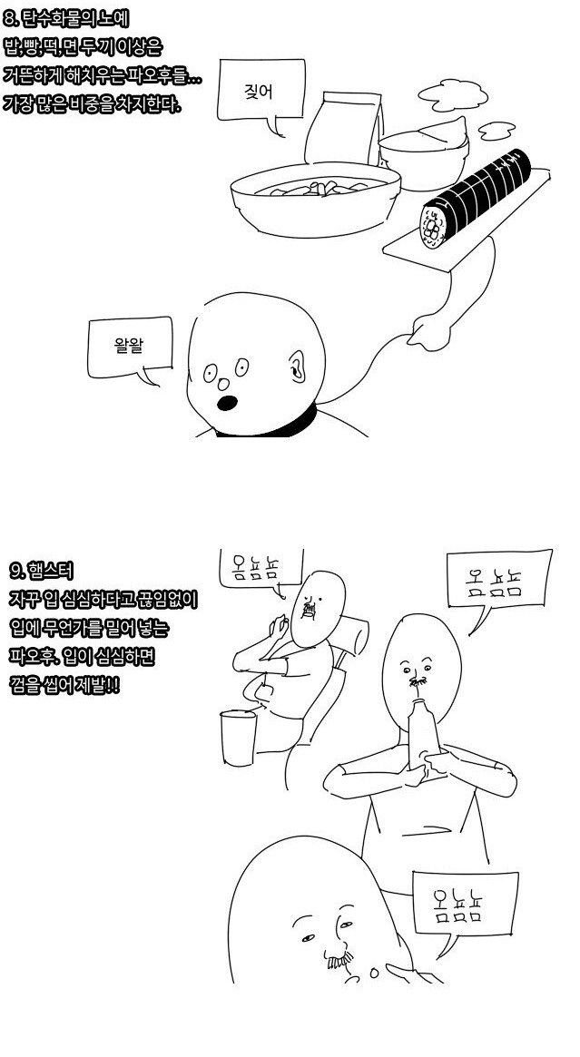 다양한 파오후의 특징.jpg_4.jpg