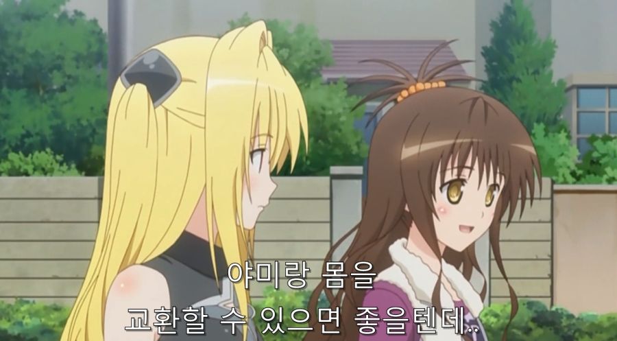 가족의 따뜻함을 배운 야미 그리고 야미가 남기고 간 것