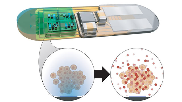 rivnay-darpa641.jpg