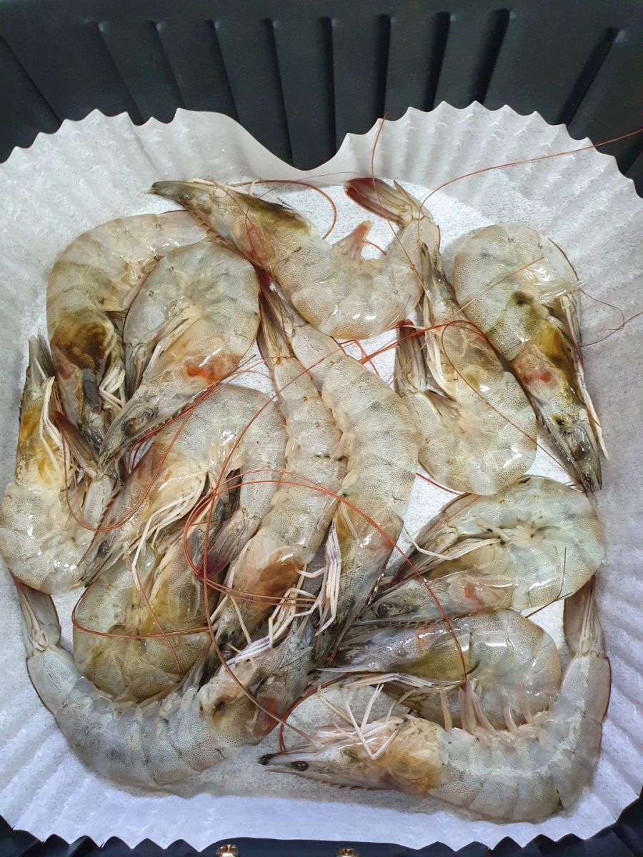 대하가 제철이라고 하길래 마트에서 사왔다 | 유머 게시판 대하가 제철이라고 하길래 마트에서 사왔다 | 유머 게시판 | 루리웹