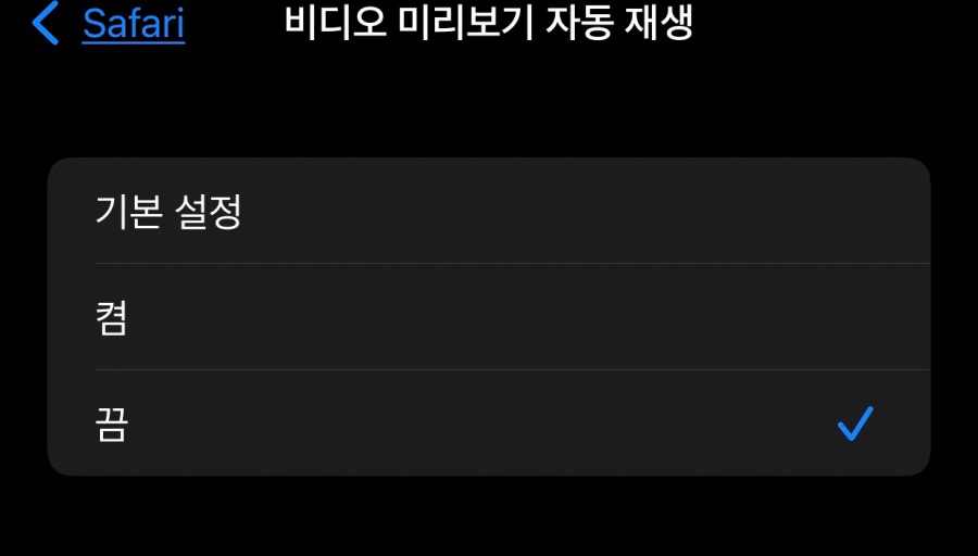 ios15 사파리 영상 자동 재생 끄는 법_6.jpeg