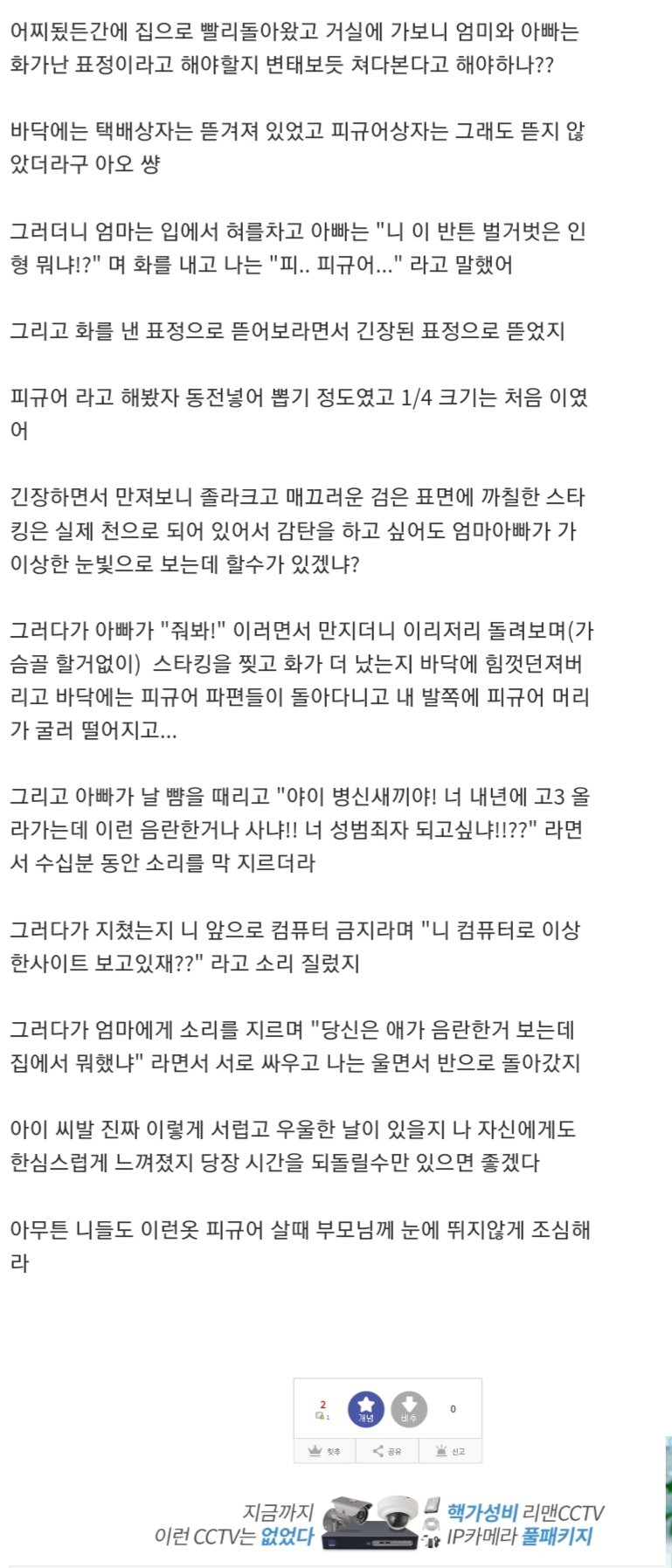 피규어 때문에 집에서 소란이 난 썰 푼다_2.jpg