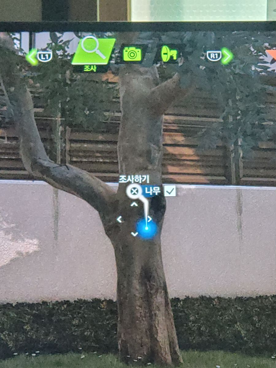 사이드퀘 타임캡슐 질문드려요_1.jpg