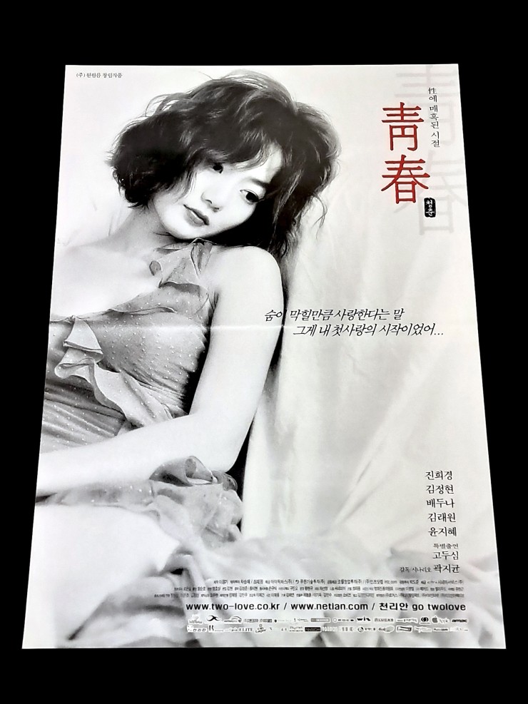 Videogage's Banggusuk Gallery KOREA Movie Poster 100_44.jpg