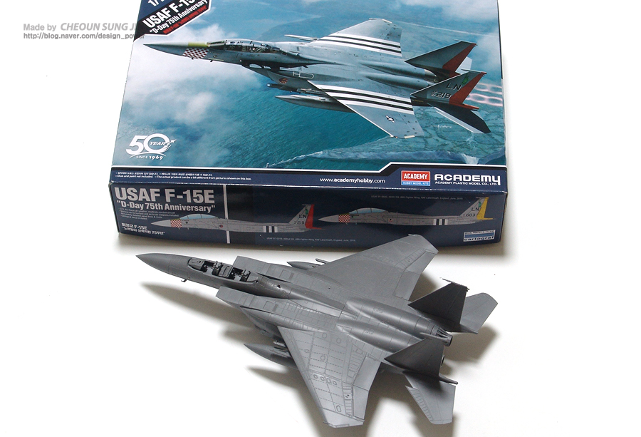 USAF F-15E 프라모델 모형_8.jpg