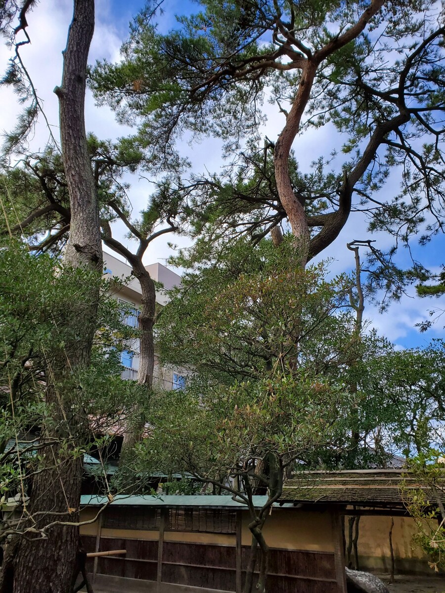 [니가타]하룻동안 둘러본 니가타_17.jpg