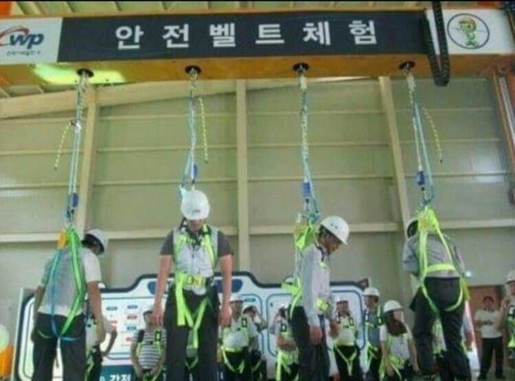 " 니 동료들 말이냐? 아.. 이친구들을 말하는건가 ..?"_1.jpeg