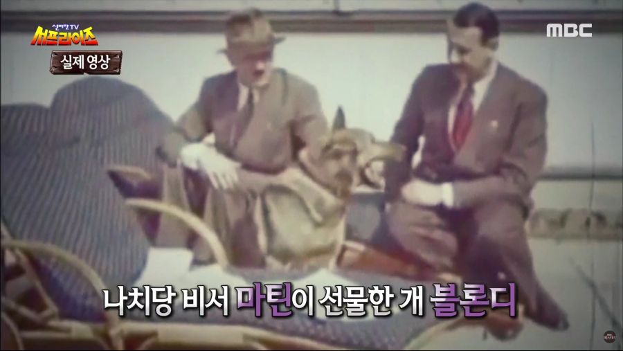 생명을 매우 소중하게 아꼈던 히틀러.jpg_3.jpg