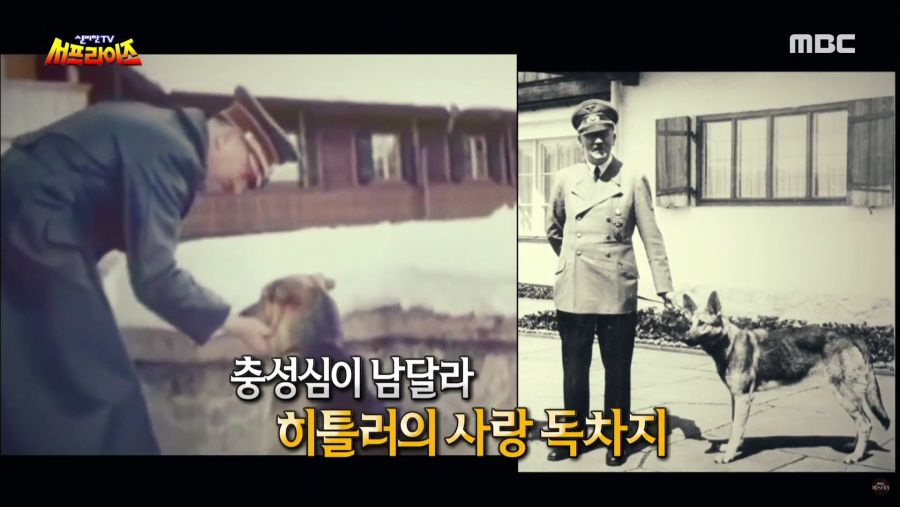생명을 매우 소중하게 아꼈던 히틀러.jpg_4.jpg