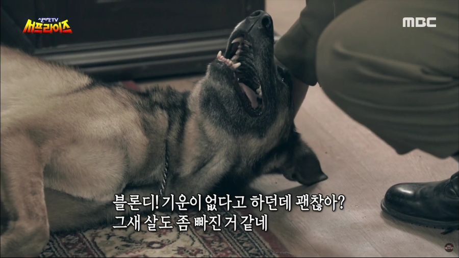 생명을 매우 소중하게 아꼈던 히틀러.jpg_7.jpg