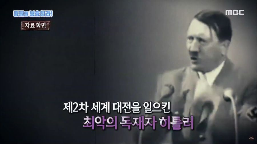 생명을 매우 소중하게 아꼈던 히틀러.jpg_17.jpg