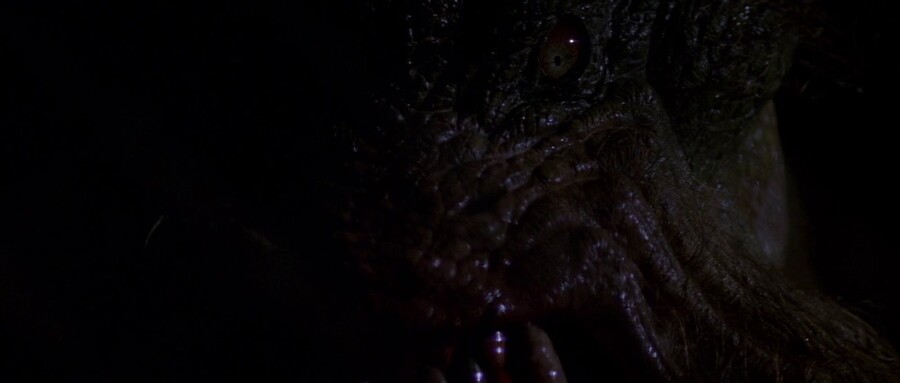 [극혐] 봉준호 감독이 괴물에서 정면으로 맞선 클리셰.jpg_5.jpg