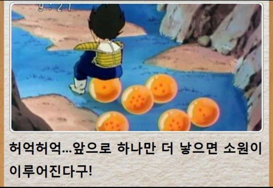 배지터의 배란기_1.jpg