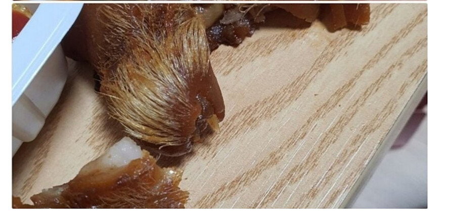 족발 시켰는데 시츄가 왔다_2.png
