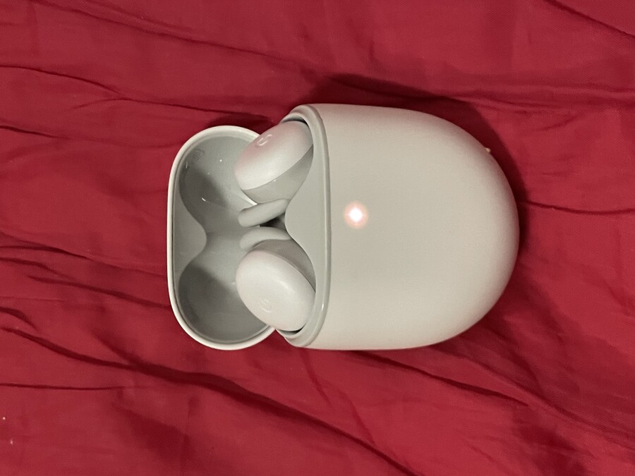 픽셀 버드 A_1.jpeg