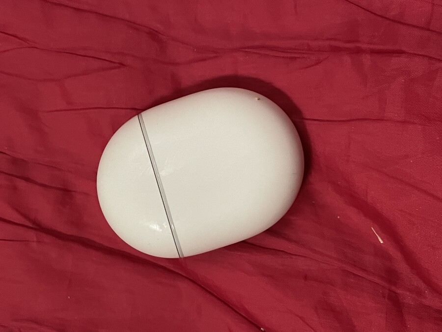 픽셀 버드 A_3.jpeg