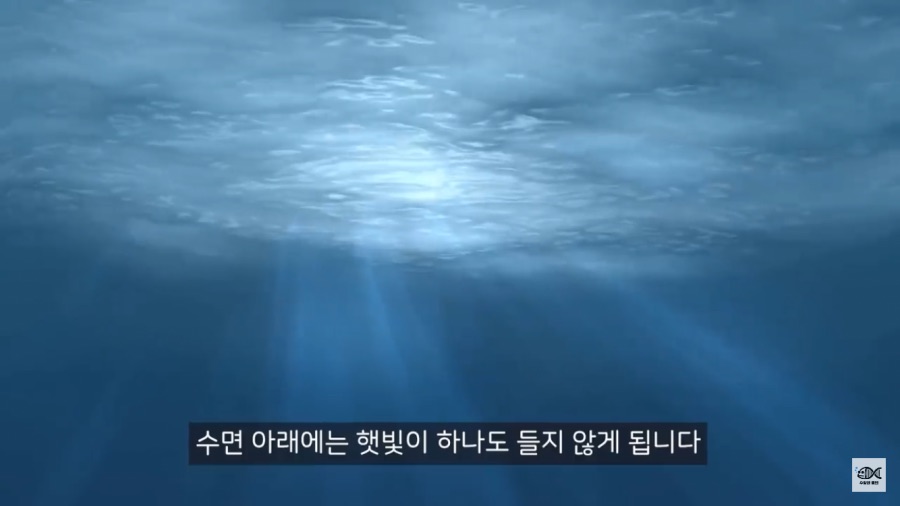 세계 10대 잡초중 하나_13.png