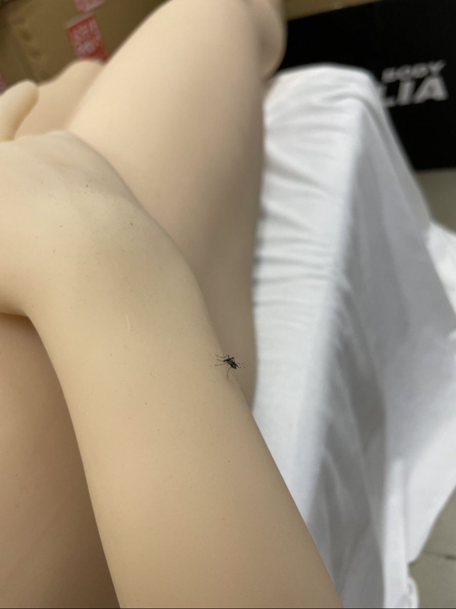 요즘 리얼돌 기술력 근황.jpg_1.jpg