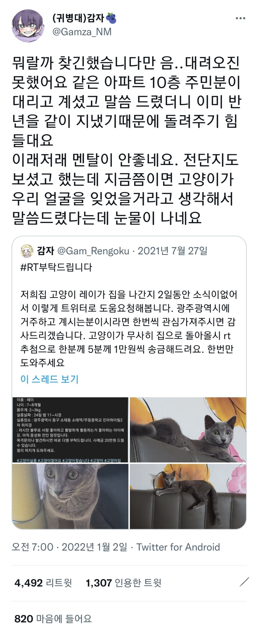 잃어버린 고양이를 반년만에 찾았는데...._1.jpg