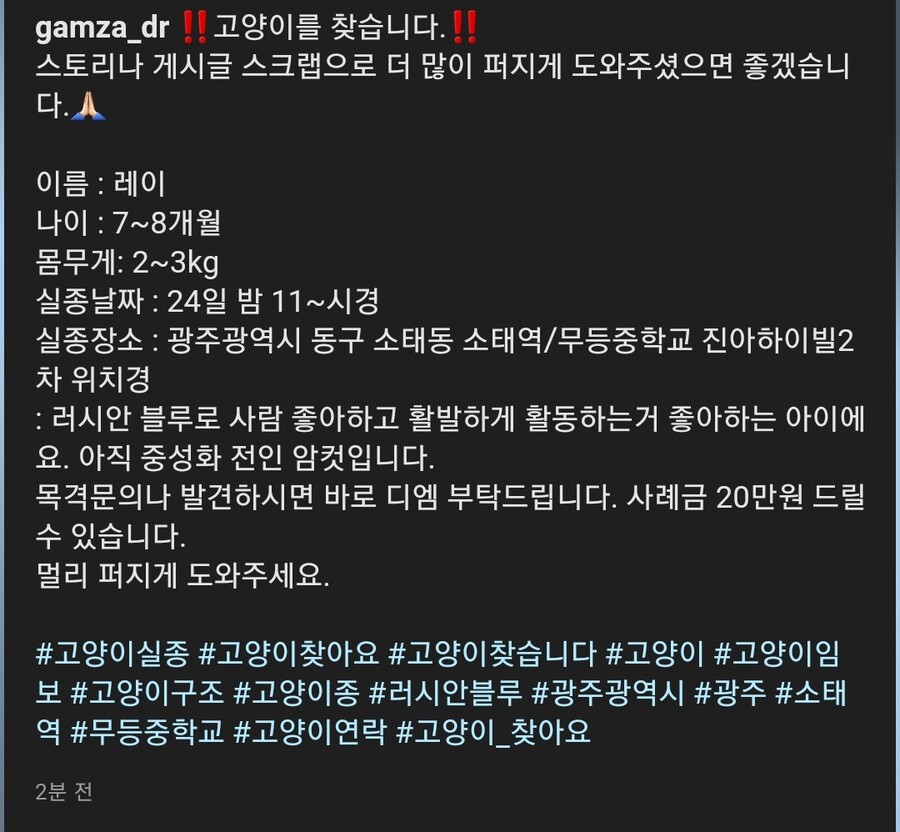 잃어버린 고양이를 반년만에 찾았는데...._2.jpeg