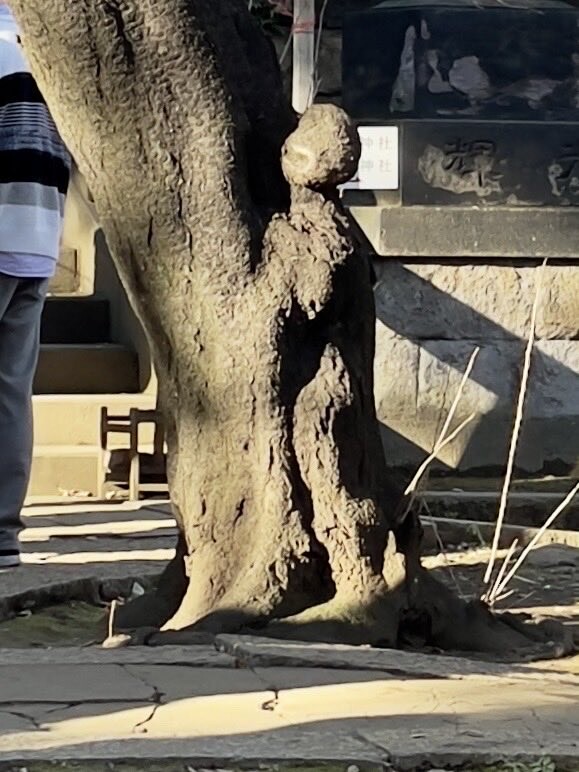 나무박이의 결과물_1.jpg