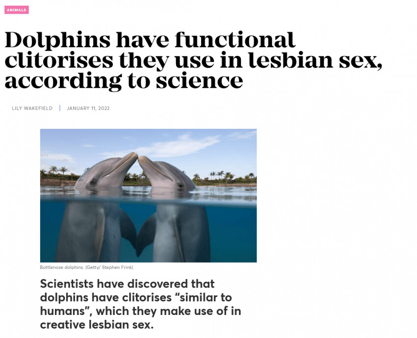 레즈ㅅㅅ를 하는 동물_1.png