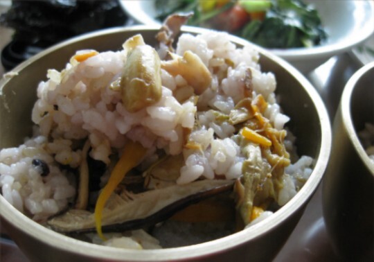 한국 식재료.. 찐 마이너 '땅콩 나물' .jpg_15.jpg
