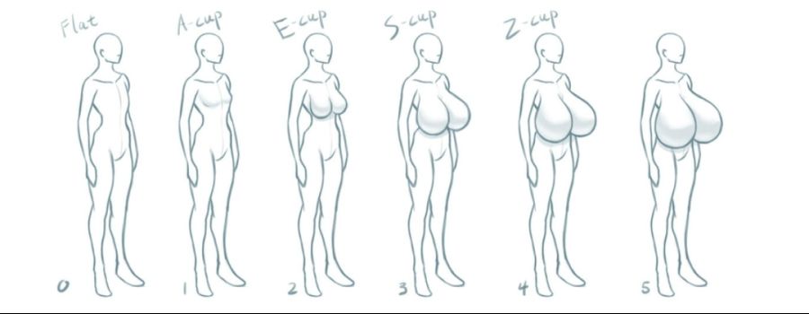 창작물의 가슴 크기 0~5단계.jpg_1.jpg