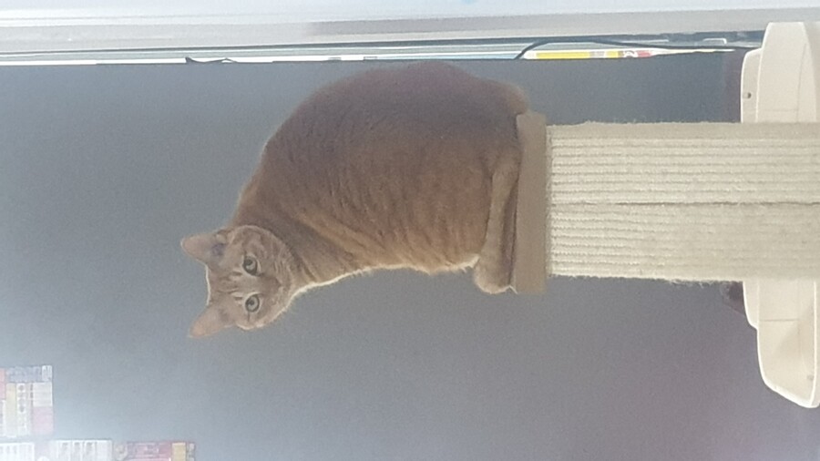 몰카 찍었는데 들킴_1.jpg