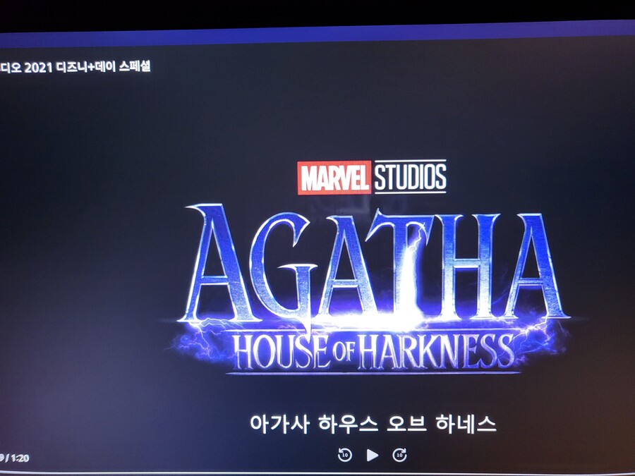 진짜 디플 번역 실환가